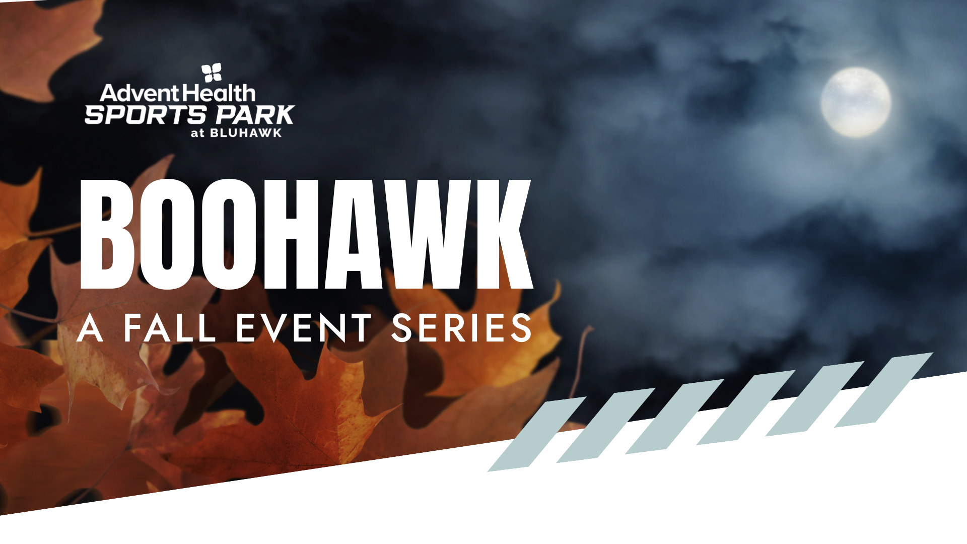 Boohawk_NewsletterGraphic